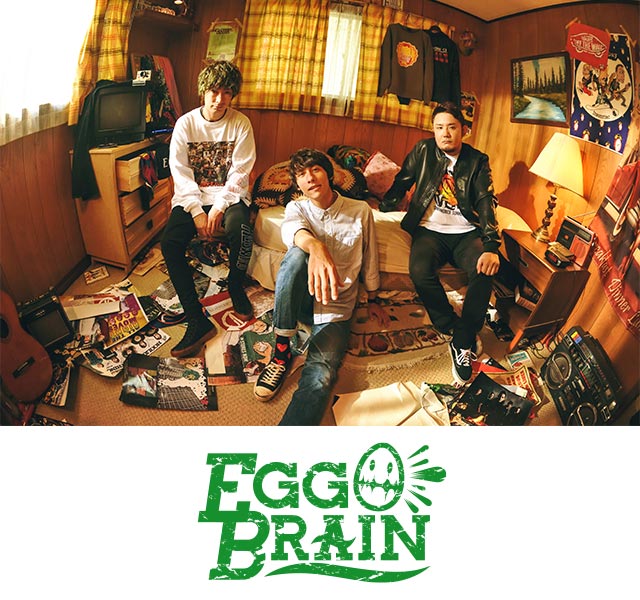 EGG BRAIN